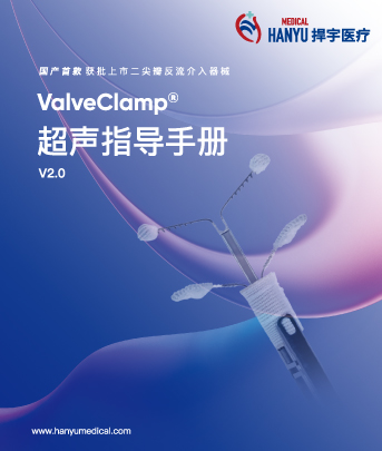 超声指导手册