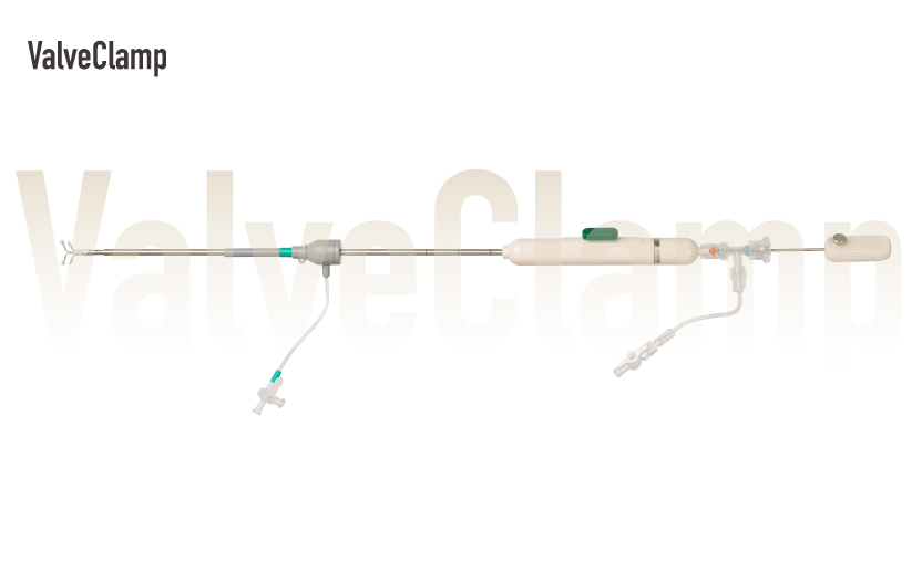 ValveClamp<sup>®</sup>